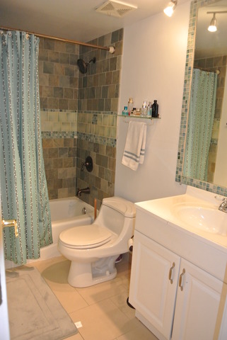 1734 Sessions Walk, Hoffman Estates, IL 60169 photo 10