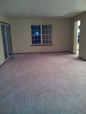 21311 Silktree Cir, Plainfield, IL 60544 photo 7