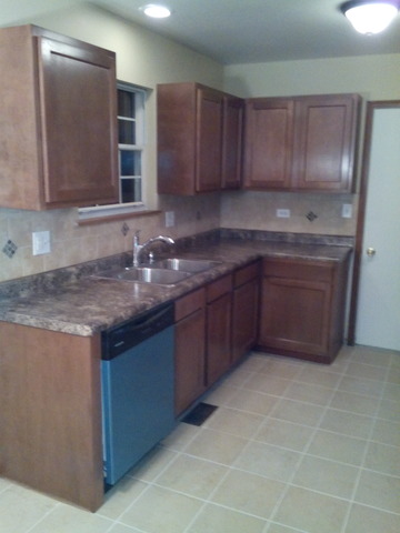 21311 Silktree Cir, Plainfield, IL 60544 photo 3