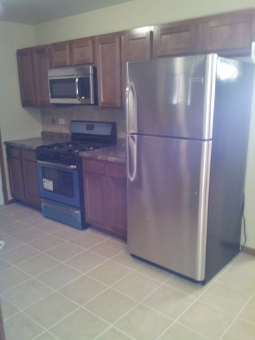 21311 Silktree Cir, Plainfield, IL 60544 photo 2