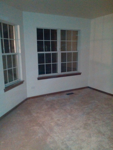 21311 Silktree Cir, Plainfield, IL 60544 photo 9