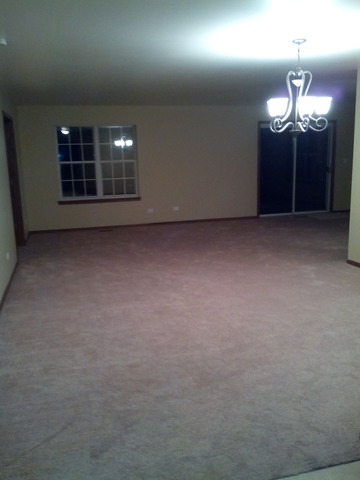 21311 Silktree Cir, Plainfield, IL 60544 photo 8