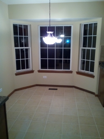 21311 Silktree Cir, Plainfield, IL 60544 photo 5