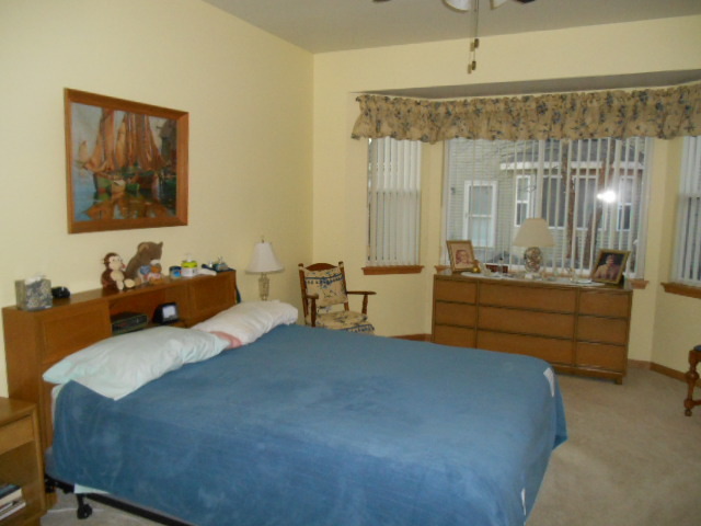13807 Hickory Ln, Plainfield, IL 60544 photo 8