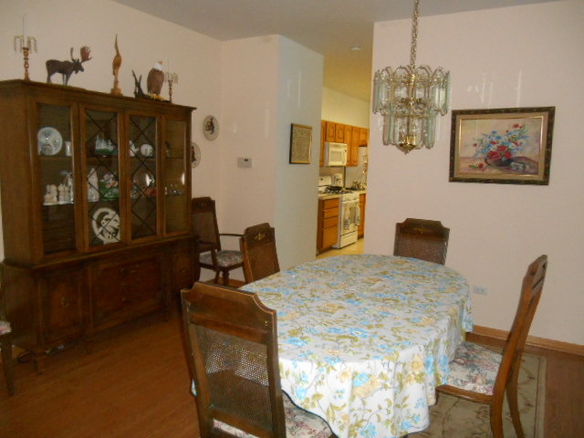 13807 Hickory Ln, Plainfield, IL 60544 photo 6