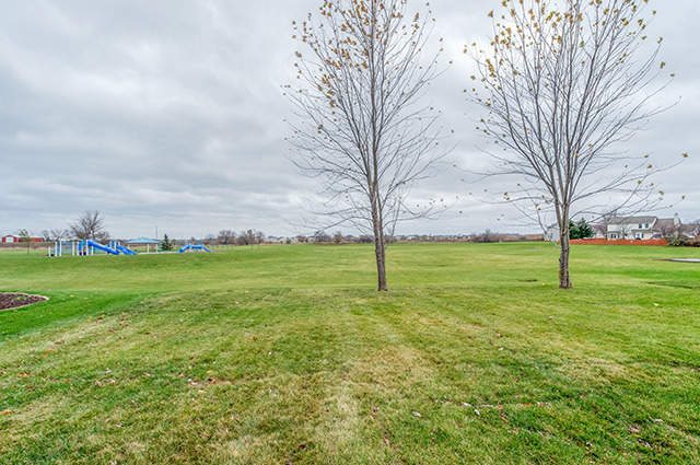 24927 Madison St, Plainfield, IL 60544 photo 23