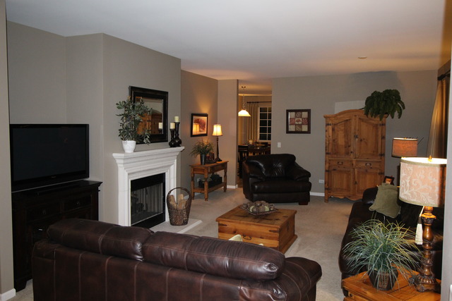 15713 Cove Cir, Plainfield, IL 60544 photo 15
