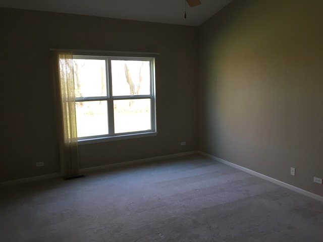 911 Eineke Blvd, Algonquin, IL 60102 photo 9