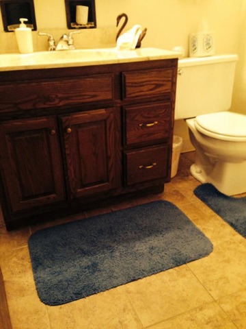 910 E Old Willow Rd #308, Prospect Heights, IL 60070 photo 11