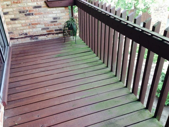 910 E Old Willow Rd #308, Prospect Heights, IL 60070 photo 13