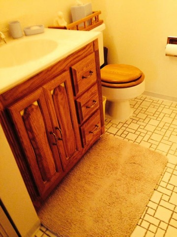 910 E Old Willow Rd #308, Prospect Heights, IL 60070 photo 9