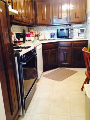 910 E Old Willow Rd #308, Prospect Heights, IL 60070 photo 6