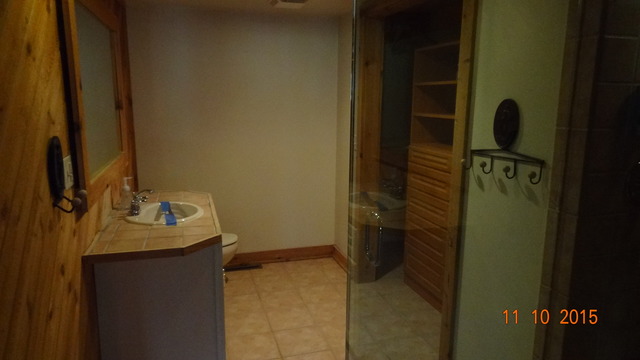 3608 Rolling Glen Dr, Lake Zurich, IL 60047 photo 13