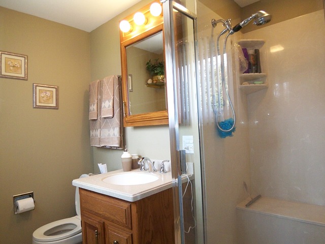 80 Ambleside Rd, Des Plaines, IL 60016 photo 23