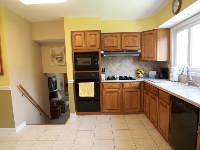 80 Ambleside Rd, Des Plaines, IL 60016 photo 10