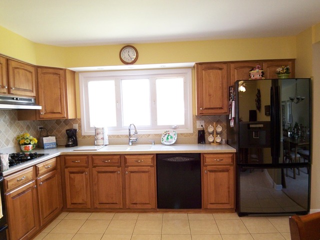 80 Ambleside Rd, Des Plaines, IL 60016 photo 9