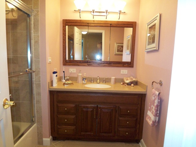 80 Ambleside Rd, Des Plaines, IL 60016 photo 18