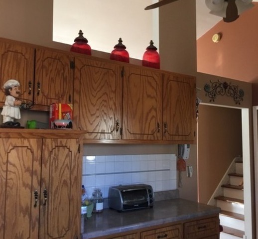 1008 Macgregor Rd, Lockport, IL 60441 photo 7