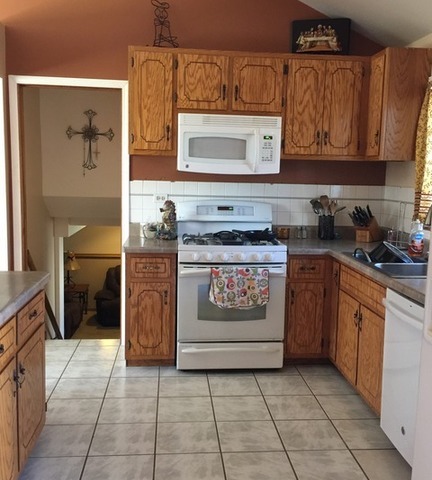 1008 Macgregor Rd, Lockport, IL 60441 photo 5