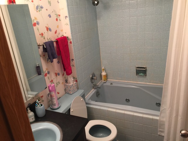 16253 S River Rd, Plainfield, IL 60586 photo 13