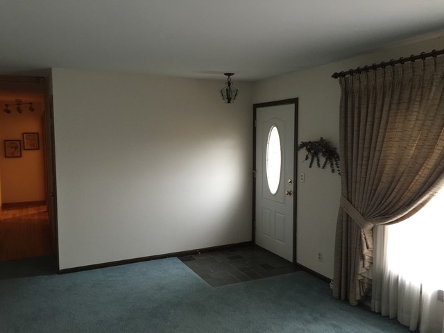 16253 S River Rd, Plainfield, IL 60586 photo 9