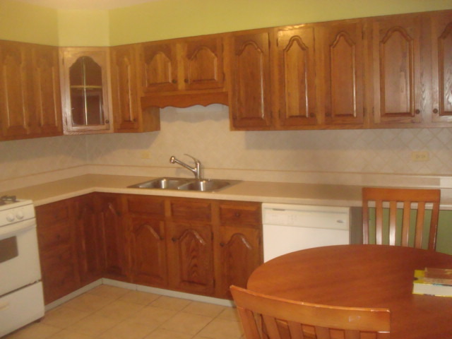 2904 Dove St, Rolling Meadows, IL 60008 photo 5