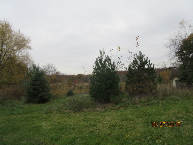 9 N052 Corron Rd, Elgin, IL 60124 photo 19