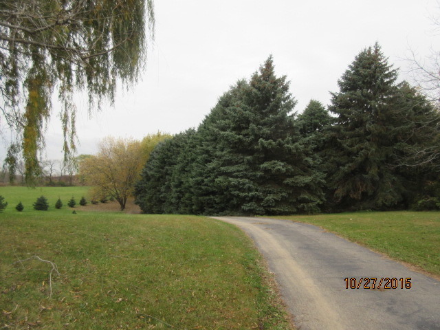 9 N052 Corron Rd, Elgin, IL 60124 photo 18