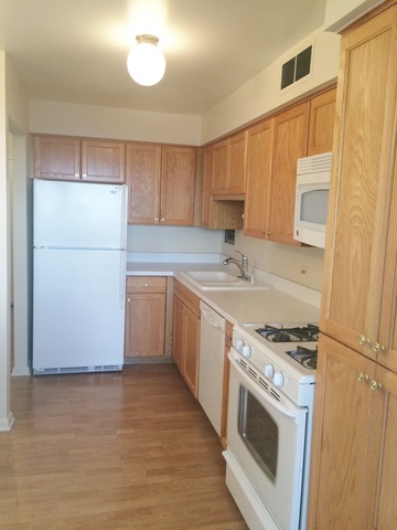 8801 W Golf Rd #10F, Niles, IL 60714 photo 5