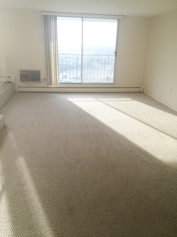 8801 W Golf Rd #10F, Niles, IL 60714 photo 13