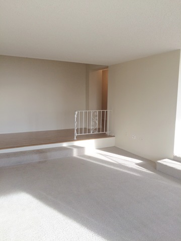 8801 W Golf Rd #10F, Niles, IL 60714 photo 10
