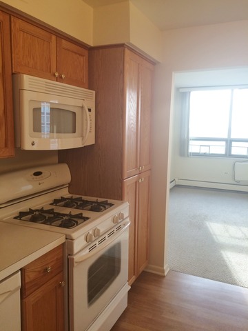 8801 W Golf Rd #10F, Niles, IL 60714 photo 6