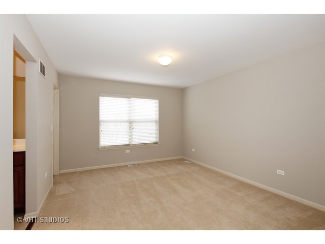 13409 Lindengate Ct, Plainfield, IL 60585 photo 10