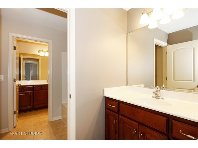 13409 Lindengate Ct, Plainfield, IL 60585 photo 11