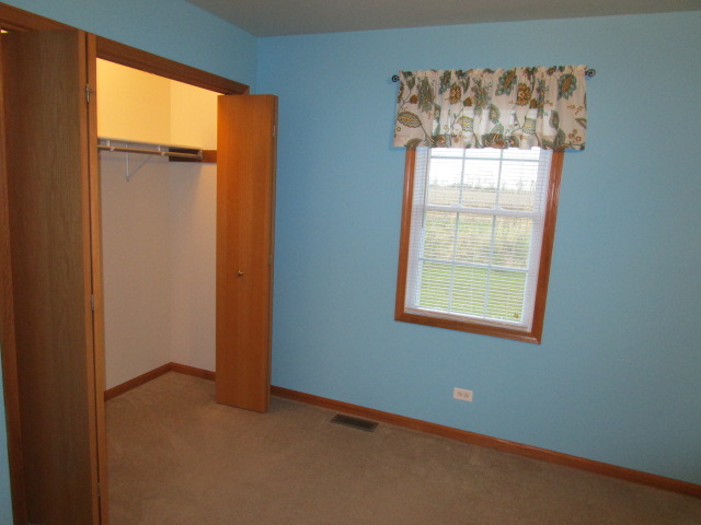903 Forest Downs, Harvard, IL 60033 photo 18