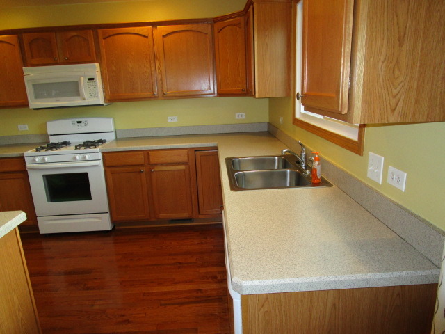 903 Forest Downs, Harvard, IL 60033 photo 8