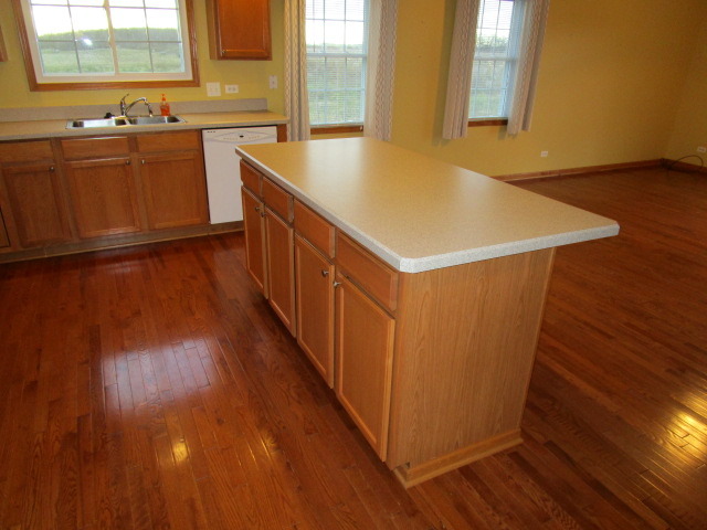 903 Forest Downs, Harvard, IL 60033 photo 10
