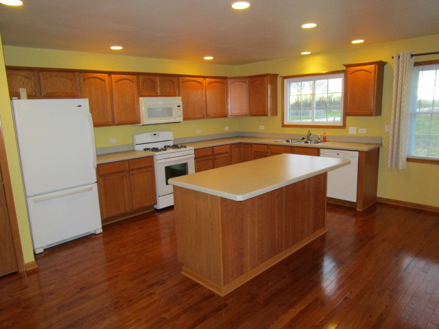 903 Forest Downs, Harvard, IL 60033 photo 9