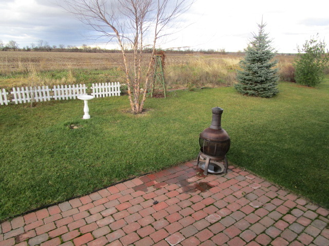 903 Forest Downs, Harvard, IL 60033 photo 21