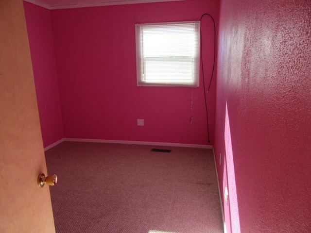 335 Durham Dr, Steger, IL 60475 photo 7
