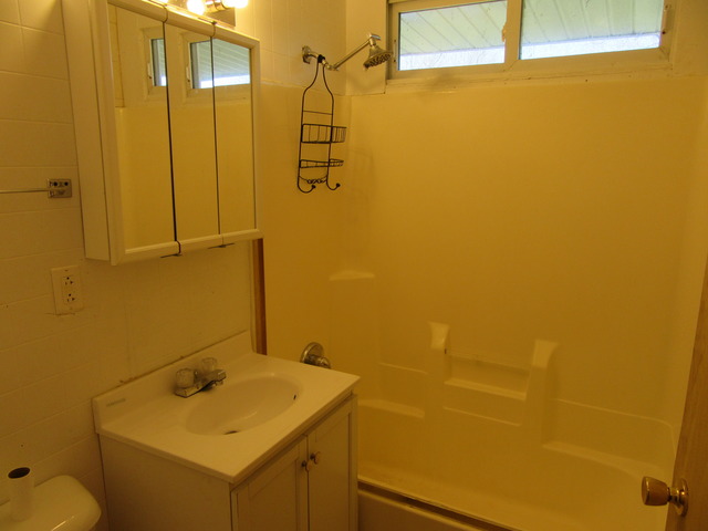 335 Durham Dr, Steger, IL 60475 photo 9