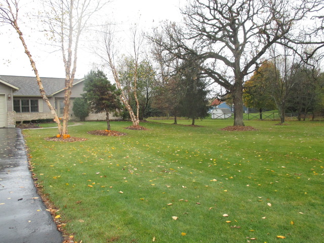 40 W651 Bowes Rd, Elgin, IL 60124 photo 3
