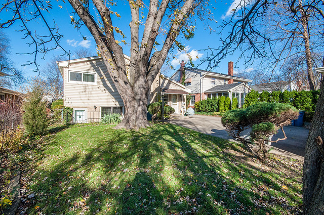 166 E Jackson St, Elmhurst, IL 60126 photo 20