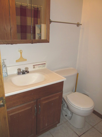 4317 Eberly Ave, Brookfield, IL 60513 photo 10