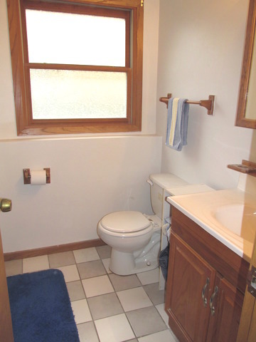 4317 Eberly Ave, Brookfield, IL 60513 photo 14