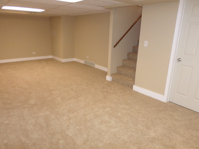 242 N Eastern Ave, Bartlett, IL 60103 photo 24