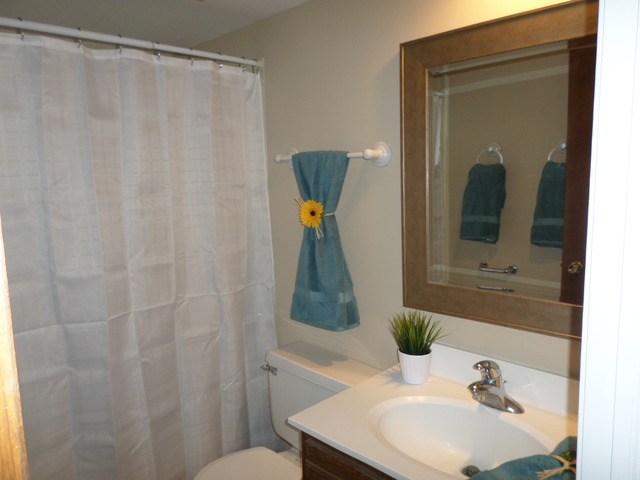 242 N Eastern Ave, Bartlett, IL 60103 photo 20