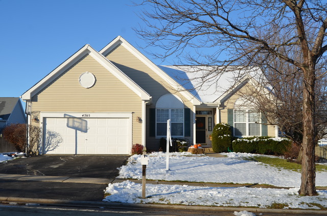 4705 Chapman Dr, Plainfield, IL 60586 photo 1