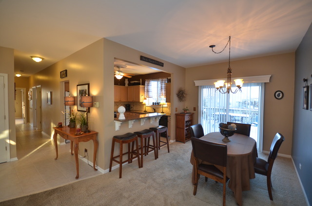 4705 Chapman Dr, Plainfield, IL 60586 photo 11