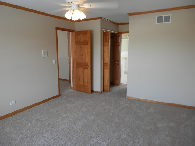 24831 Michele Dr, Plainfield, IL 60544 photo 16